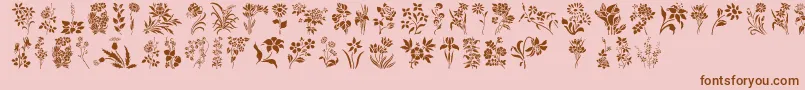 HffFloralStencil Font – Brown Fonts on Pink Background