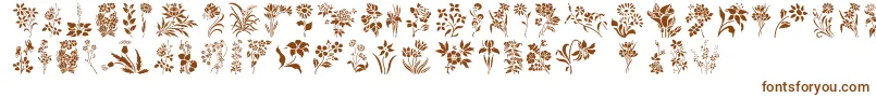 HffFloralStencil Font – Brown Fonts on White Background