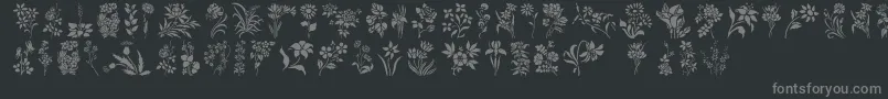 HffFloralStencil Font – Gray Fonts on Black Background