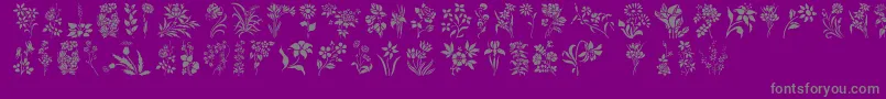 フォントHffFloralStencil – 紫の背景に灰色の文字