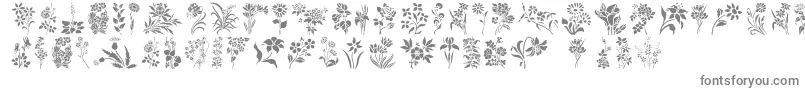 フォントHffFloralStencil – 灰色のフォント