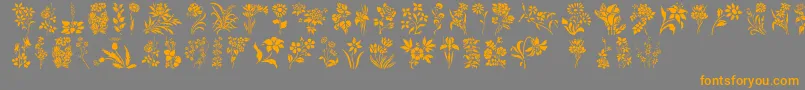 HffFloralStencil Font – Orange Fonts on Gray Background
