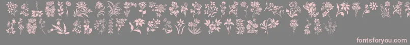 HffFloralStencil Font – Pink Fonts on Gray Background