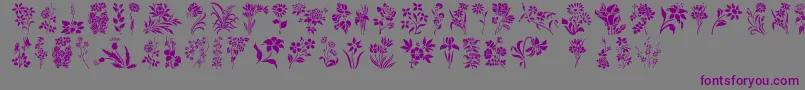 HffFloralStencil Font – Purple Fonts on Gray Background