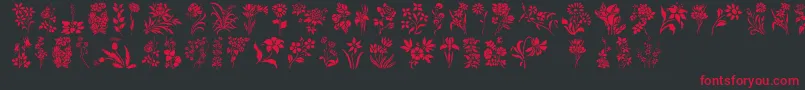 フォントHffFloralStencil – 黒い背景に赤い文字