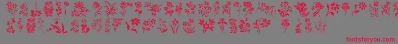 fuente HffFloralStencil – Fuentes Rojas Sobre Fondo Gris