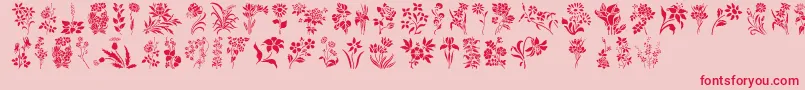 Police HffFloralStencil – polices rouges sur fond rose