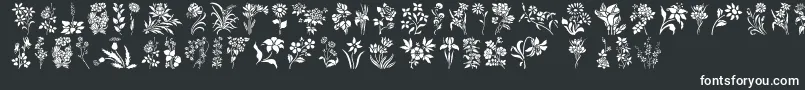 フォントHffFloralStencil – 白い文字