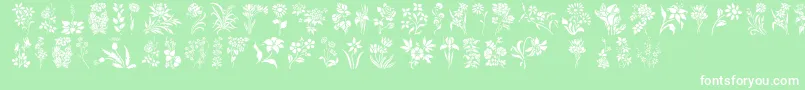 HffFloralStencil Font – White Fonts on Green Background