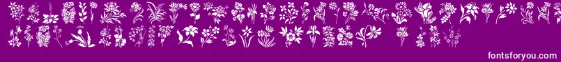 Police HffFloralStencil – polices blanches sur fond violet