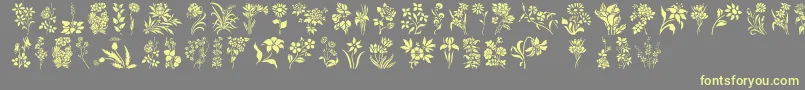 HffFloralStencil Font – Yellow Fonts on Gray Background