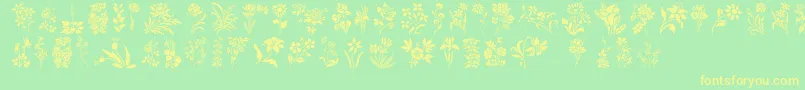 HffFloralStencil Font – Yellow Fonts on Green Background