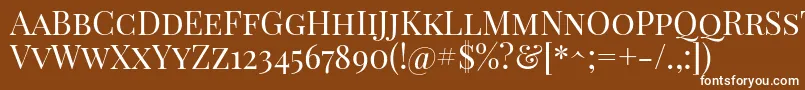 PlayfairdisplayscRegular Font – White Fonts on Brown Background
