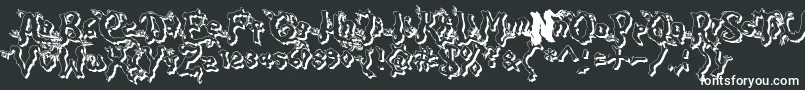 DarkwoodShad2-fontti – valkoiset fontit mustalla taustalla