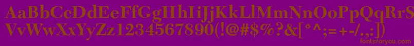 C651RomanBold Font – Brown Fonts on Purple Background