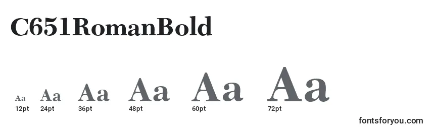 C651RomanBold Font Sizes