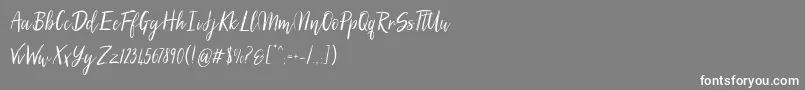 SilhouettoScript Font – White Fonts on Gray Background