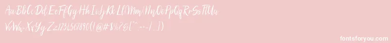 SilhouettoScript-Schriftart – Weiße Schriften auf rosa Hintergrund