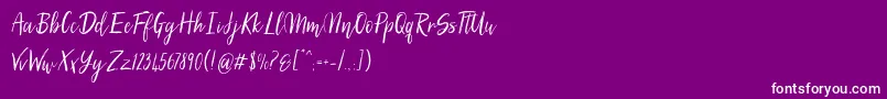 SilhouettoScript Font – White Fonts on Purple Background