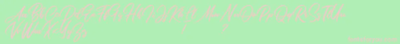 SouthamptonScriptDemo Font – Pink Fonts on Green Background