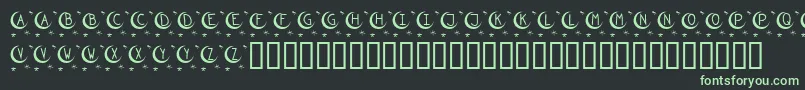 フォントKrTwinkle – 黒い背景に緑の文字