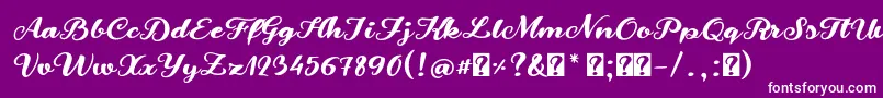 SnowmandudesRegular Font – White Fonts on Purple Background