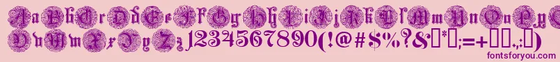 Monarchia Font – Purple Fonts on Pink Background