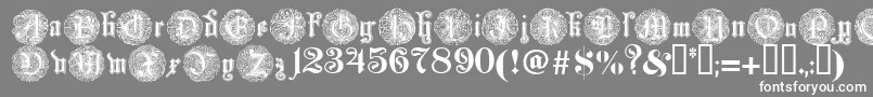 Monarchia Font – White Fonts on Gray Background