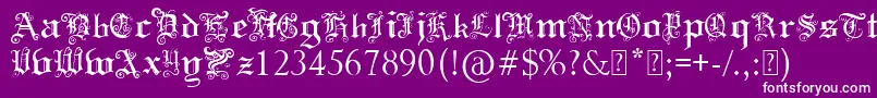 Police PaulsSwirlyGothicFont – polices blanches sur fond violet