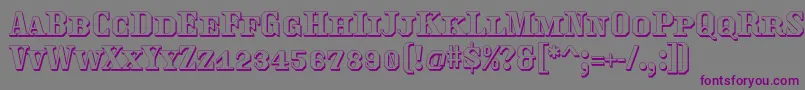 Traktoretkaoutline Font – Purple Fonts on Gray Background