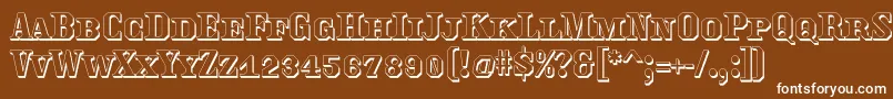 Traktoretkaoutline Font – White Fonts on Brown Background