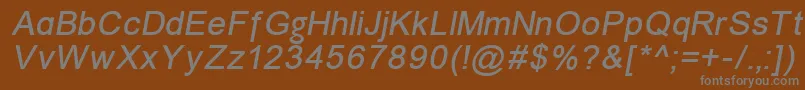 ErUniversKoi8Italic Font – Gray Fonts on Brown Background