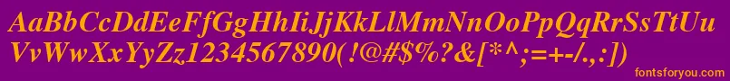 TimesLtBoldItalic Font – Orange Fonts on Purple Background