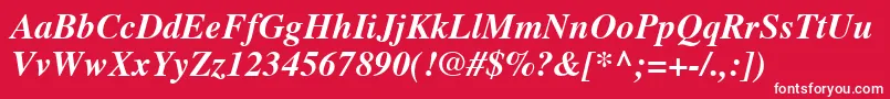 TimesLtBoldItalic Font – White Fonts on Red Background