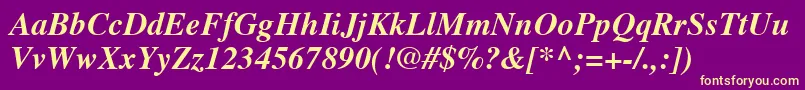 TimesLtBoldItalic Font – Yellow Fonts on Purple Background