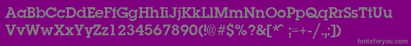 LaplandBold Font – Gray Fonts on Purple Background