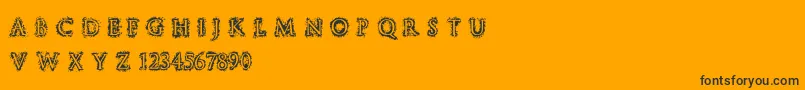 StuccoRegular-fontti – mustat fontit oranssilla taustalla
