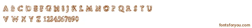 StuccoRegular-fontti – ruskeat fontit valkoisella taustalla
