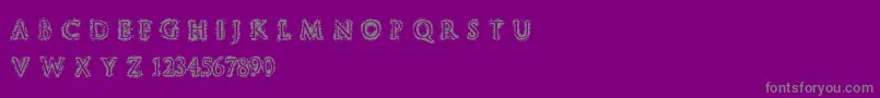 StuccoRegular-Schriftart – Graue Schriften auf violettem Hintergrund