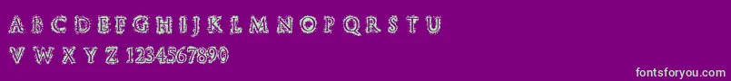 フォントStuccoRegular – 紫の背景に緑のフォント