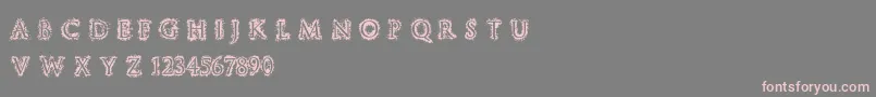 StuccoRegular Font – Pink Fonts on Gray Background
