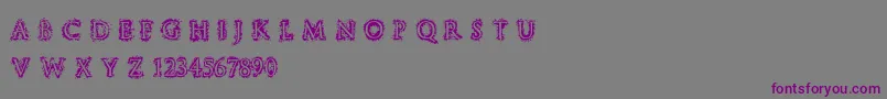 StuccoRegular-Schriftart – Violette Schriften auf grauem Hintergrund