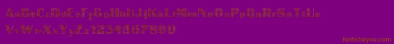 IntellectaDigital Font – Brown Fonts on Purple Background