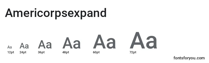 Размеры шрифта Americorpsexpand