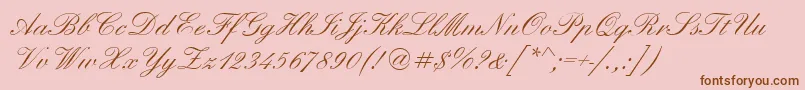 Weitere Informationen zur ElegantScriptRegular-Schriftart ElegantScriptRegular-Schriftart – Braune Schriften auf rosa Hintergrund