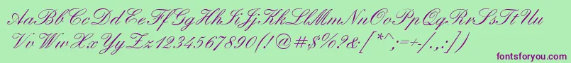 ElegantScriptRegular Font – Purple Fonts on Green Background