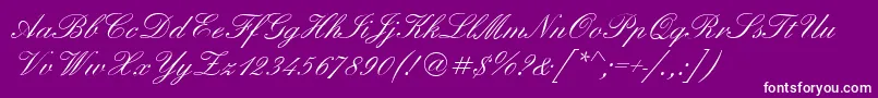 ElegantScriptRegular Font – White Fonts on Purple Background