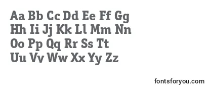 Review of the Officinaserifextraboldc Font