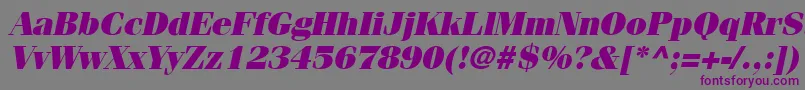 フォントCompendiumBlackSsiBlackItalic – 紫色のフォント、灰色の背景