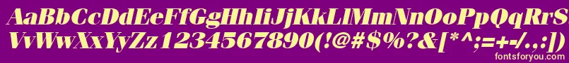 CompendiumBlackSsiBlackItalic Font – Yellow Fonts on Purple Background